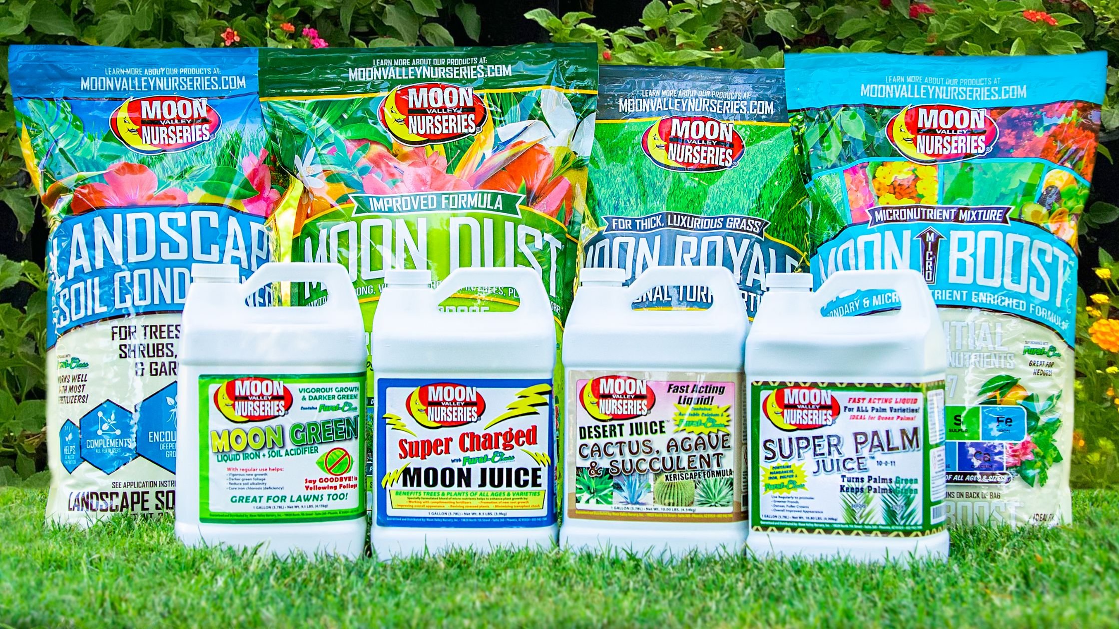 Benefits of Fertilizing After Winter in Arizona